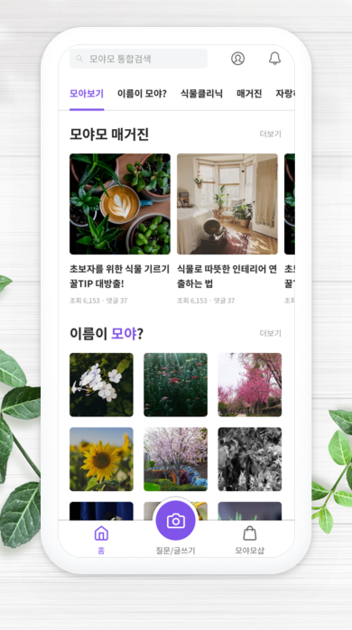 단 한 번의 촬영으로 식물 박사 되기! 🌱 쉽고 빠른 식물 이름 찾기 앱 총정리 (2025최신 & 꿀팁 가득)