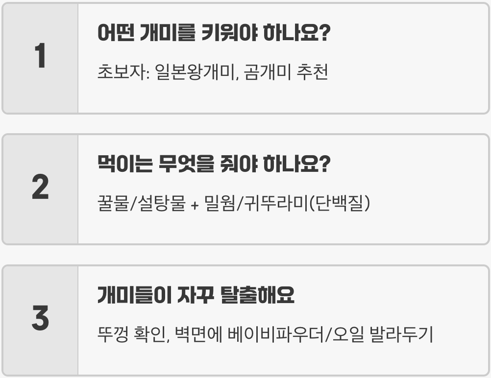 개미 사육장 만들기 A to Z (석고, 젤리, 흙)