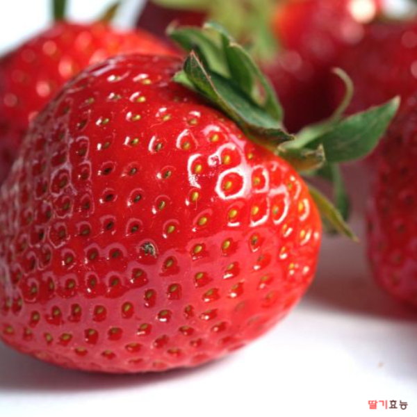 딸기 효능