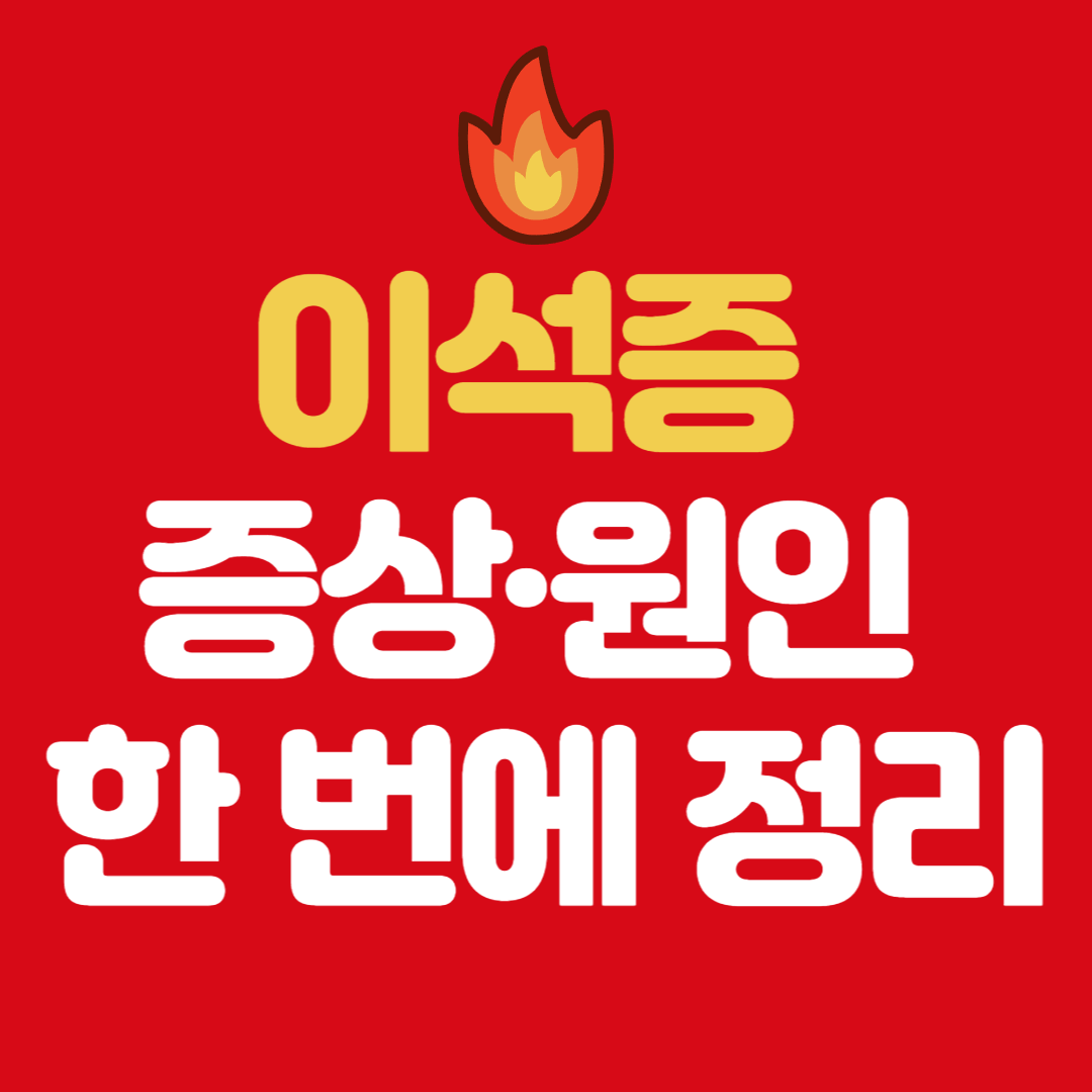 이석증 증상과 원인 총정리|집에서 확인 가능한 핵심 체크리스트