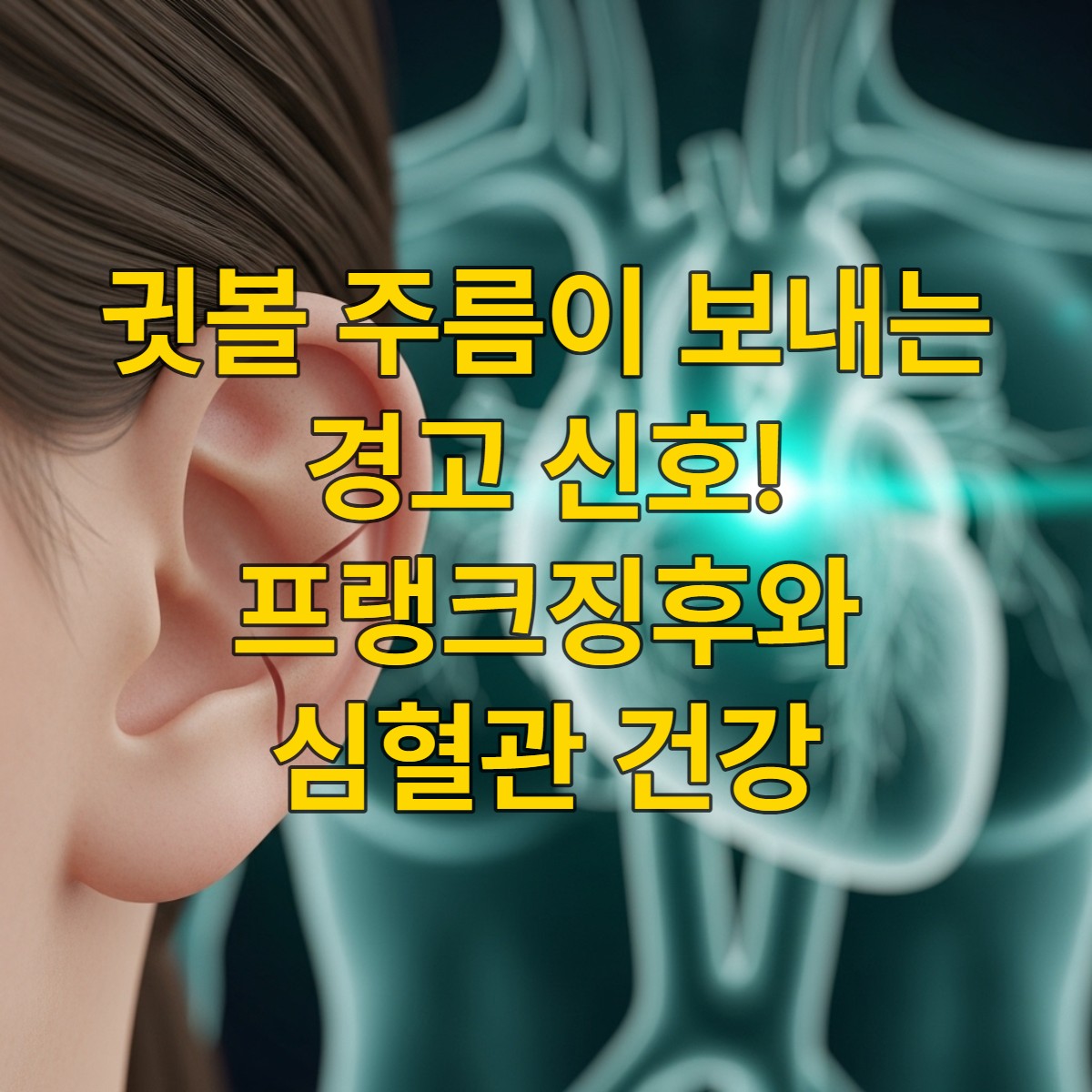 귓볼의 사선 주름(프랭크징후)과 흐릿하게 보이는 심장 및 혈관 이미지