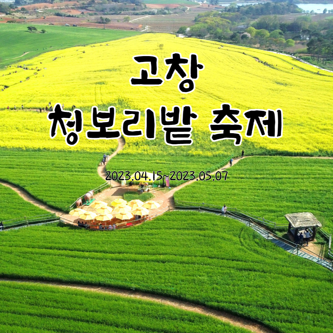 고창 청보리밭축제