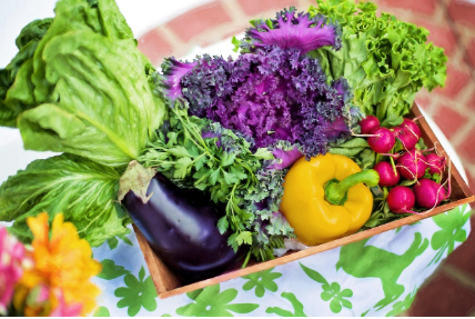 자투리 채소 다이어트 레시피