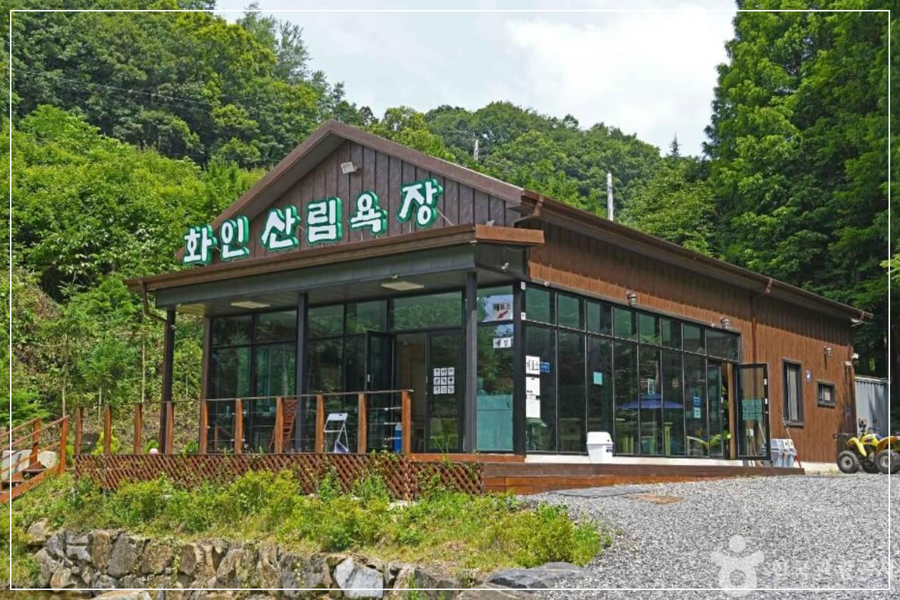 옥천 가볼만한곳 베스트10 화인 산림욕장