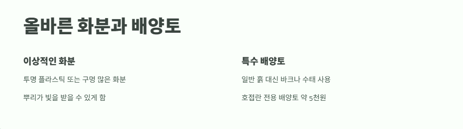 호접란 키우는법 쉽게 정리 3