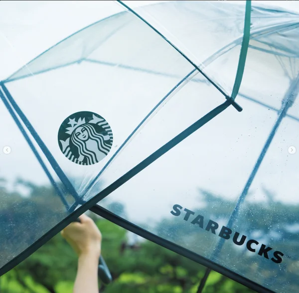 스타벅스 장우산 실물사진