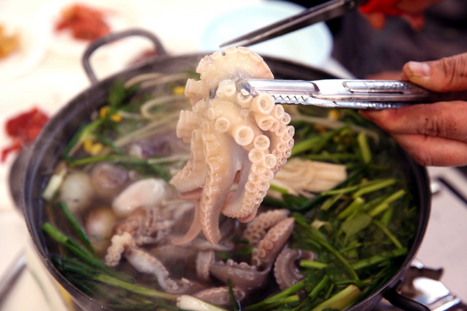 동백꽃 주꾸미 축제