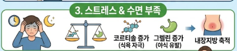 내장지방 빼는법