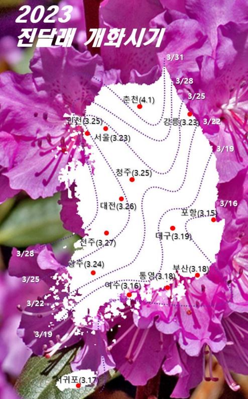 2023 진달래 개화시기