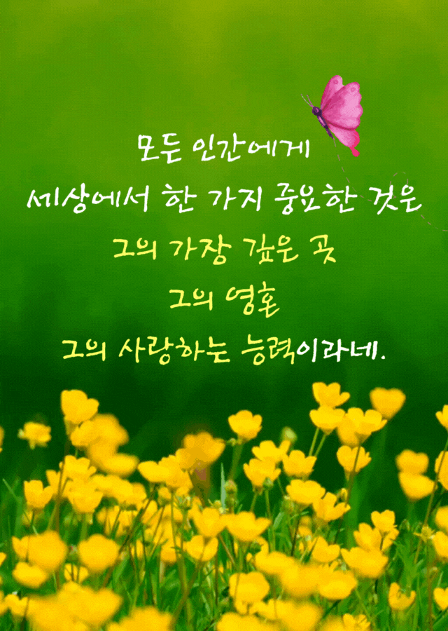 초록 들판에 노란 꽃과 나비가 어우러진 따뜻한 명언 이미지