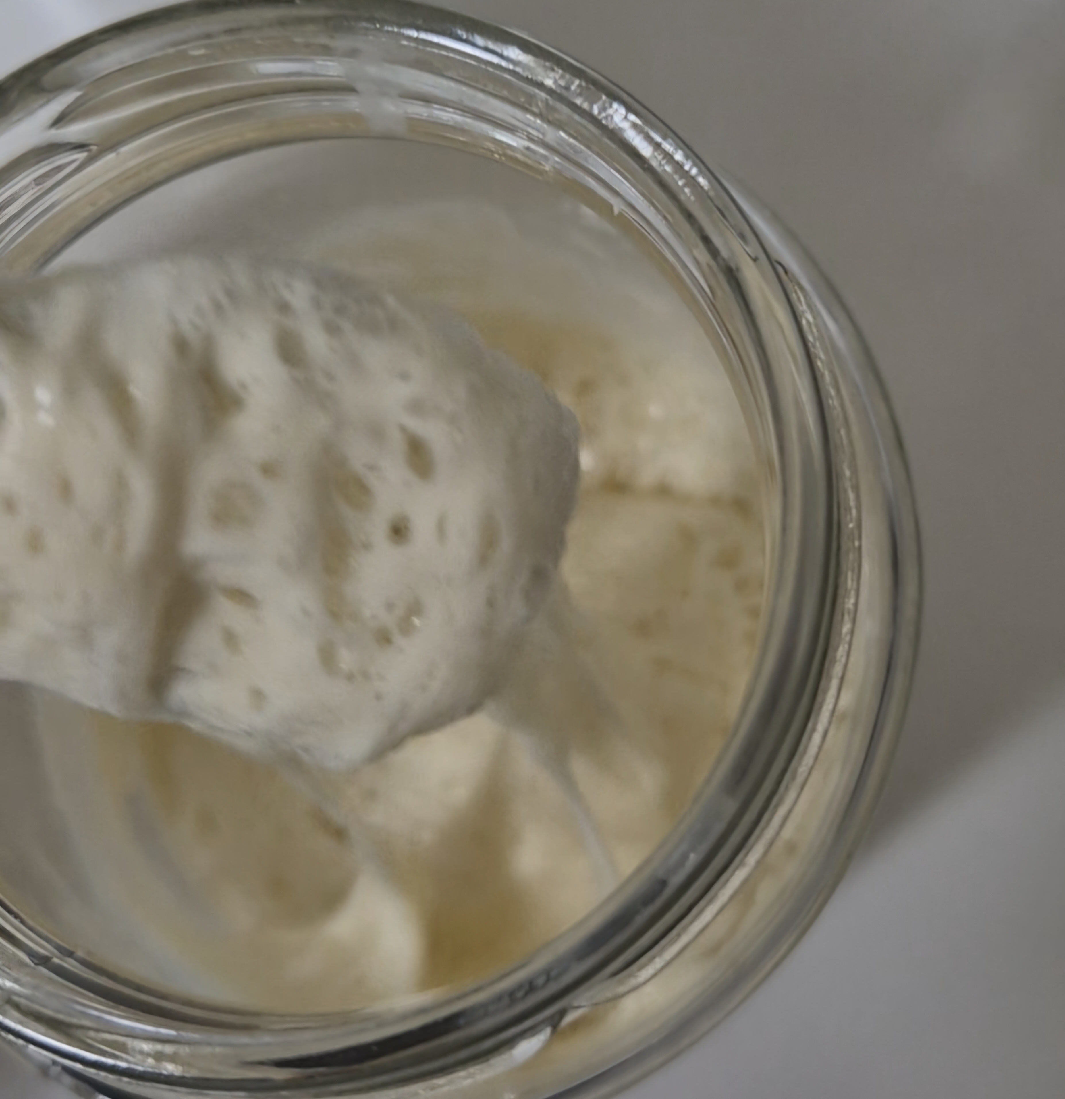 유리병 속에서 활발하게 기포를 내며 발효된 액체 상태의 르방(천연 발효종)