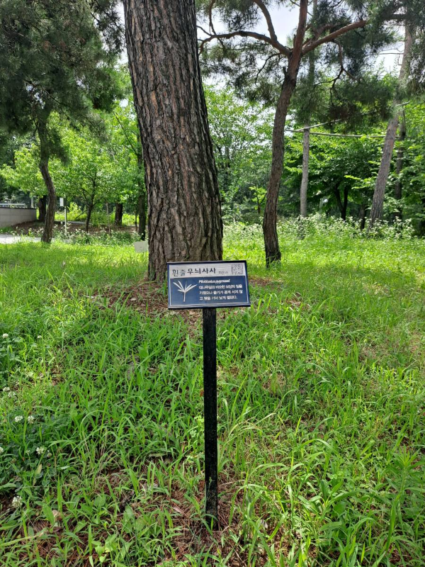 시민의숲 식물들 이름표