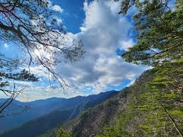 응봉산 등산지도