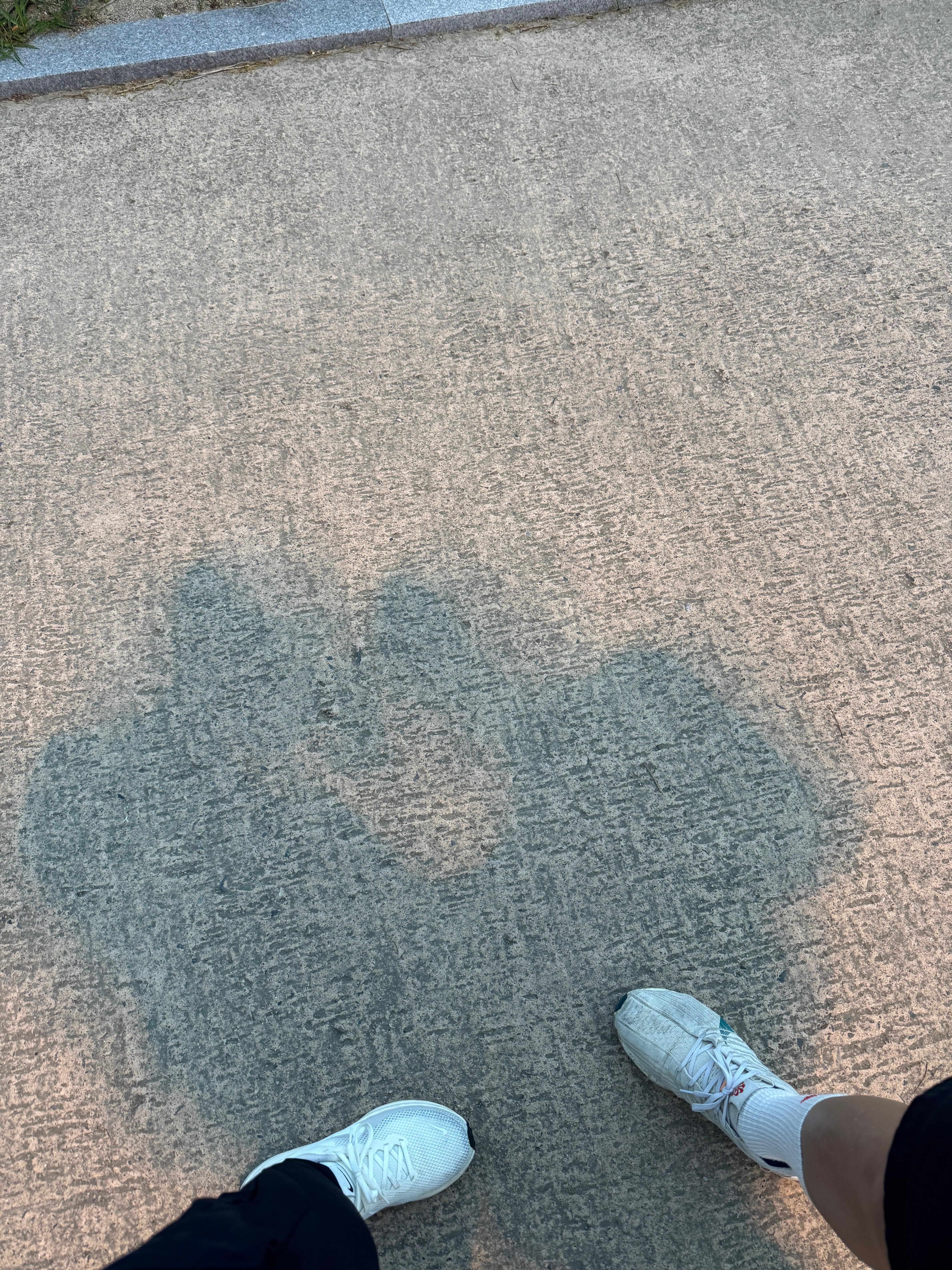 임신 준비 중 운동이 중요한 이유, 제가 다시 시작한 계기