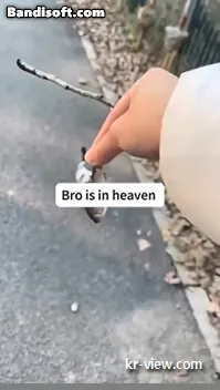 img.webp?credential=yqXZFxpELC7KVnFOS48ylbz2pIh7yKj8&expires=1767193199&allow_ip=&allow_referer=&signature=Au6uDLydZkcb3KaG%2FUNDYbDNdk8%3D