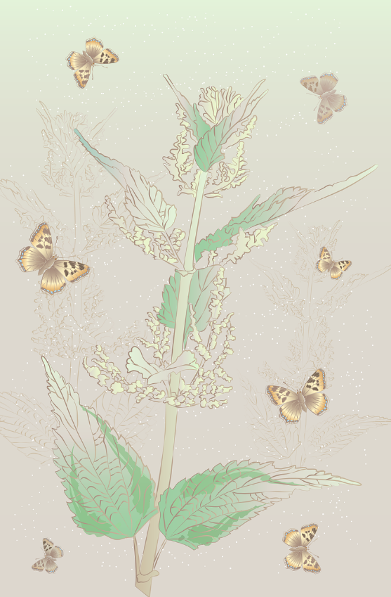 광복절 나비부인 KBS 방영논란