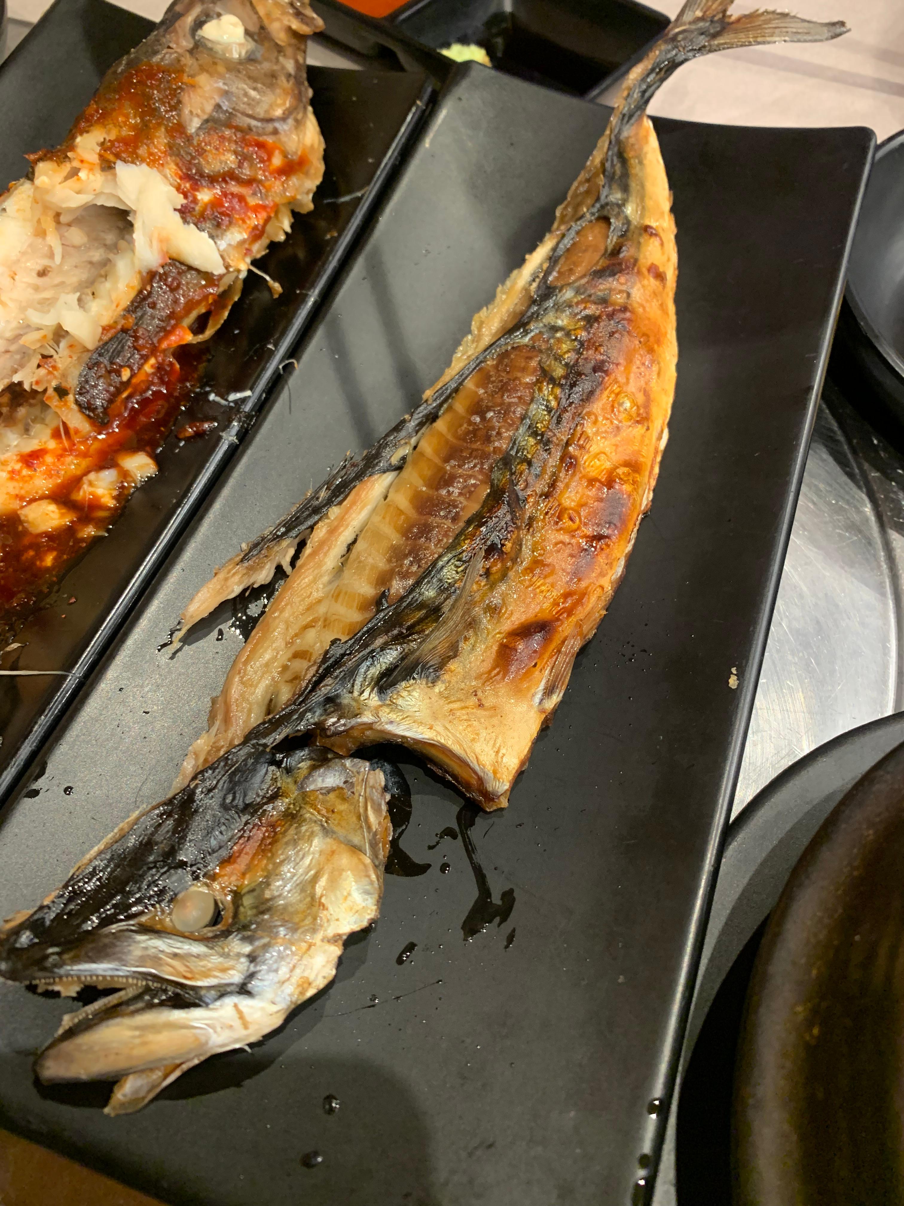 영등포구청 맛집 어리랑 광어회 맛집 푸짐한 스끼다시 내돈내산 방문후기