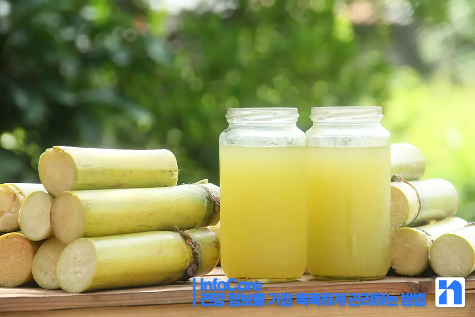 쿠바산 폴리코사놀 효능 복용법