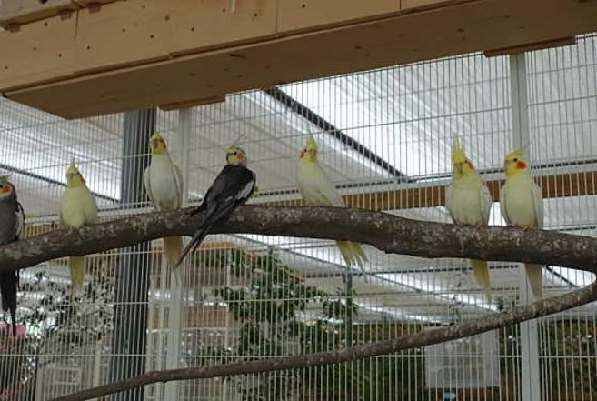 버드앤피쉬체험장