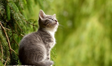 인스타 스레드 쉬운 설치 가입