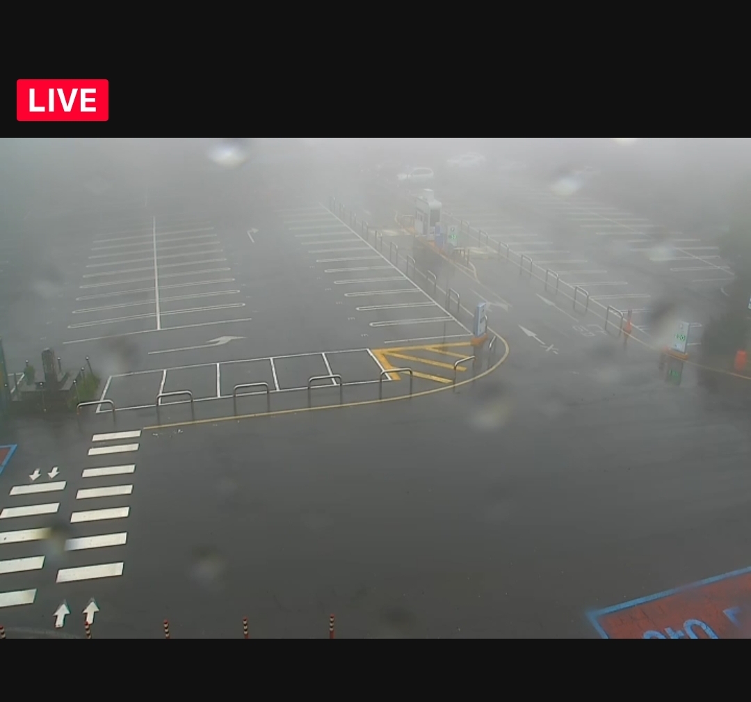 제주도 관광지 추천 가볼만한곳 검색하기 네이버지도