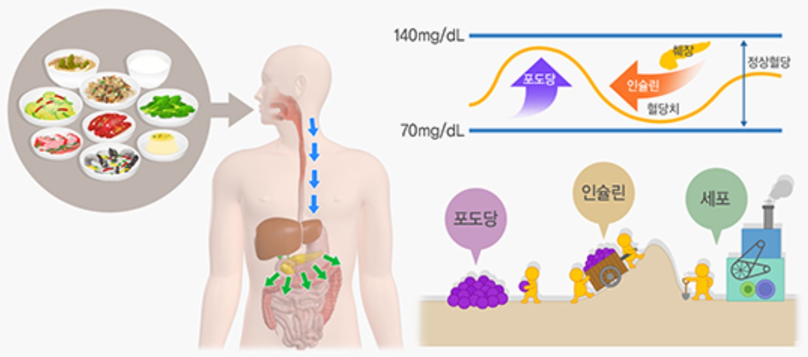 식후 2시간 혈당 정상수치: 낮추는 5가지 실천 방법