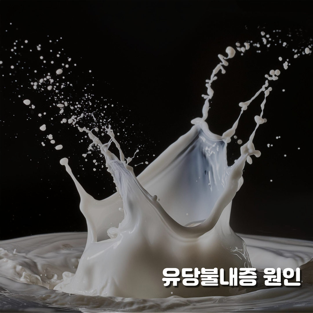 유당불내증 원인