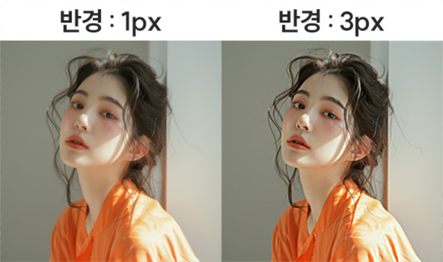 세부 옵션 설명