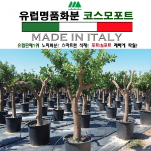 화분관리업체
