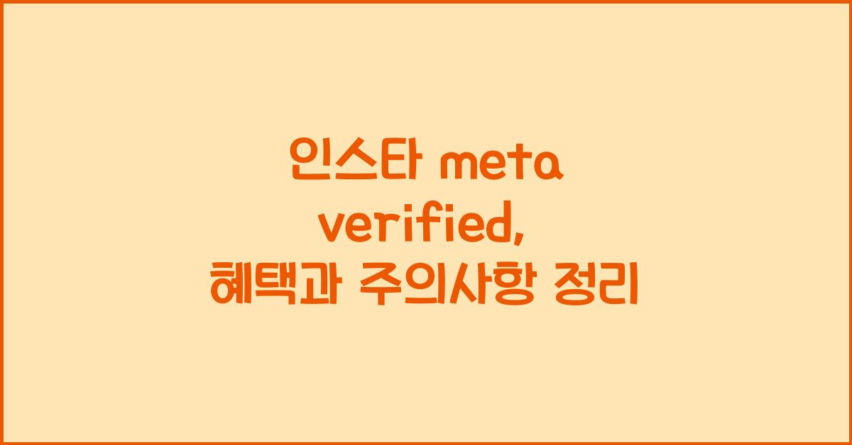 인스타 meta verified