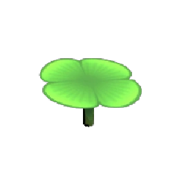 연꽃