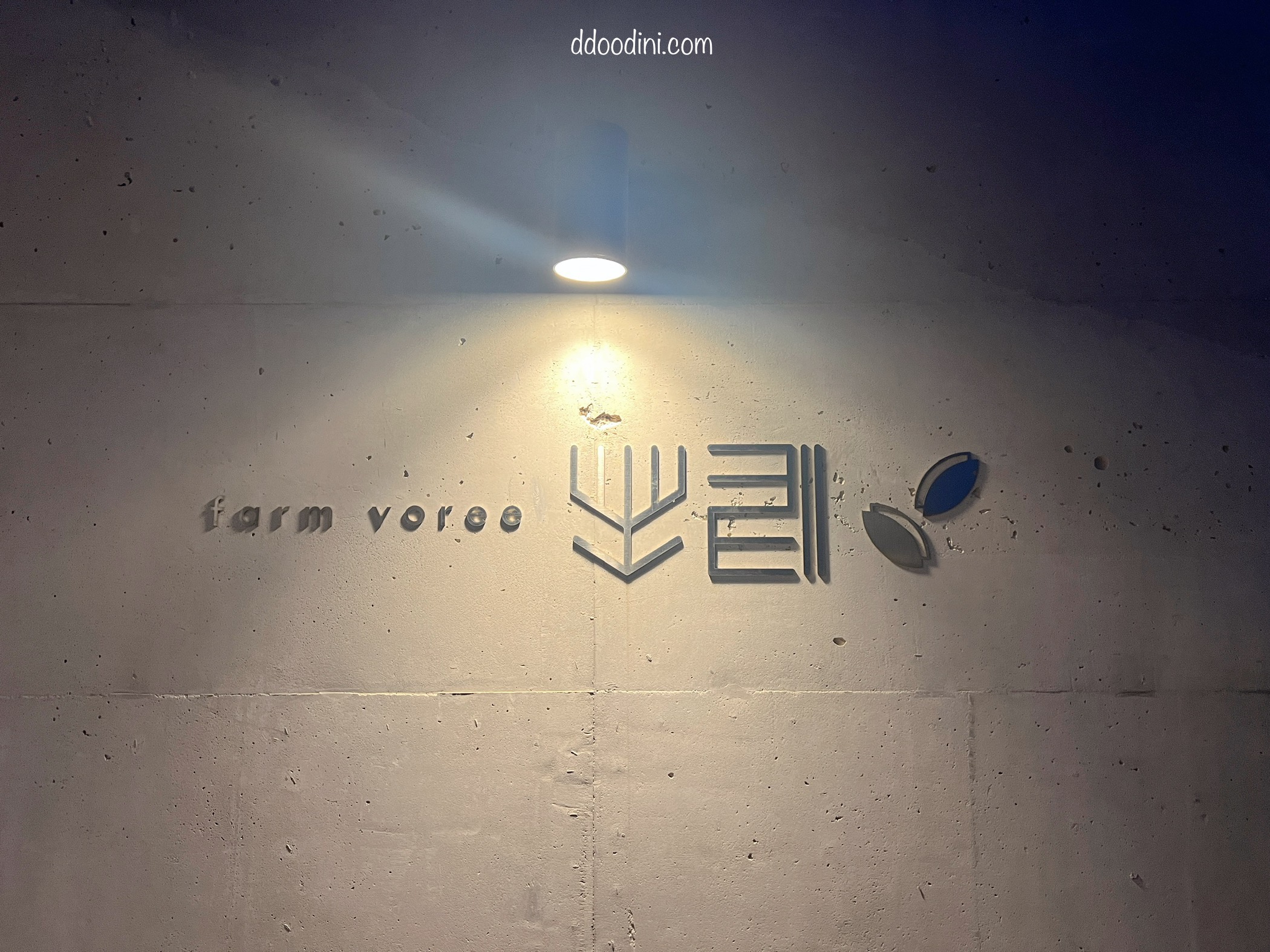 백수해안도로 보리