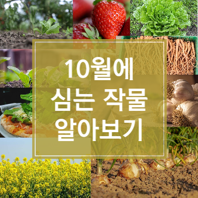 10월에 심는 작물