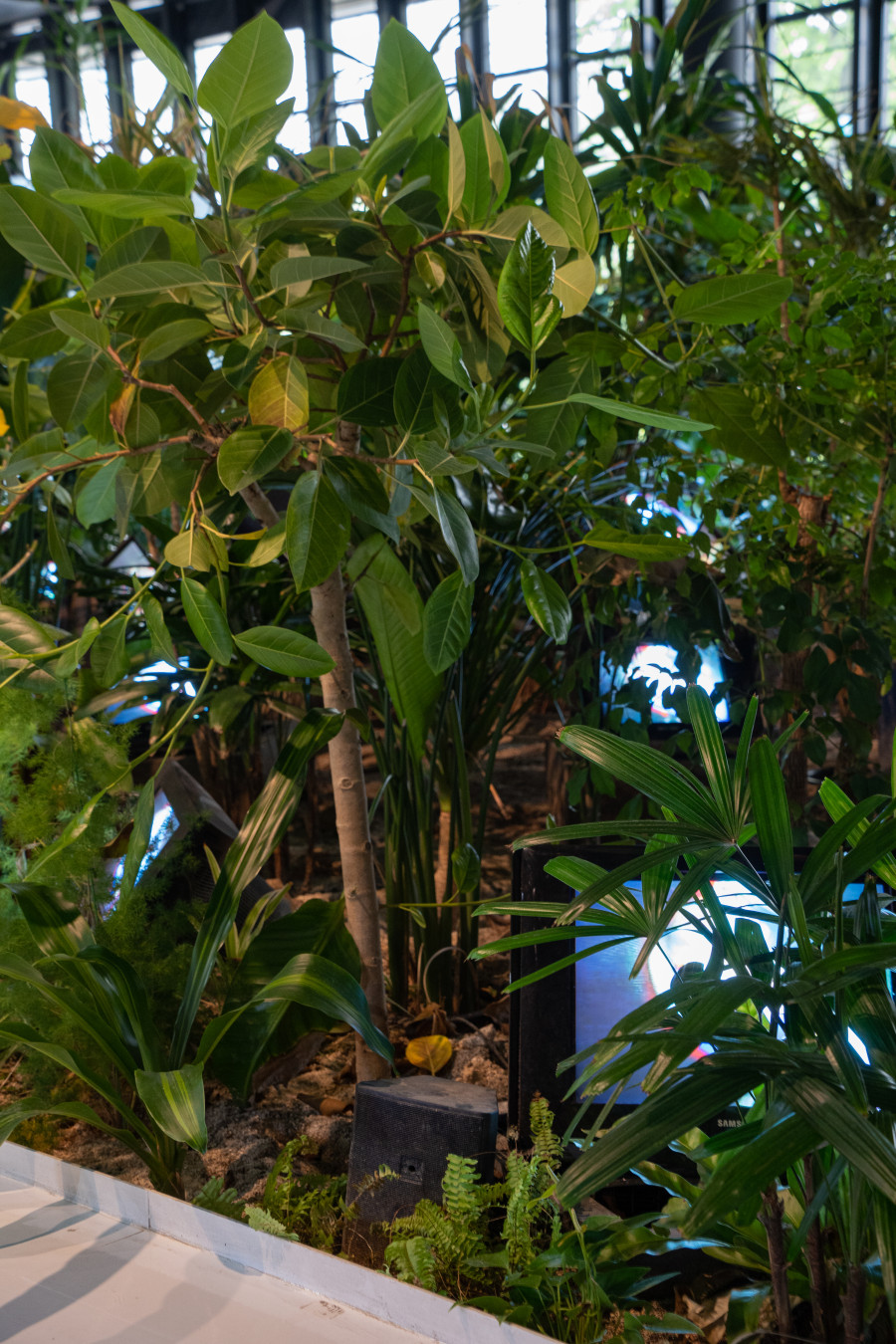 백남준 아트센터 TV정원