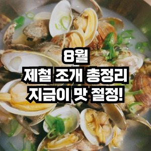 8월 제철 조개 총정리