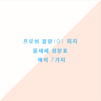 프로쉬 블랑101 피지 울세제 성분표 해석 7가지