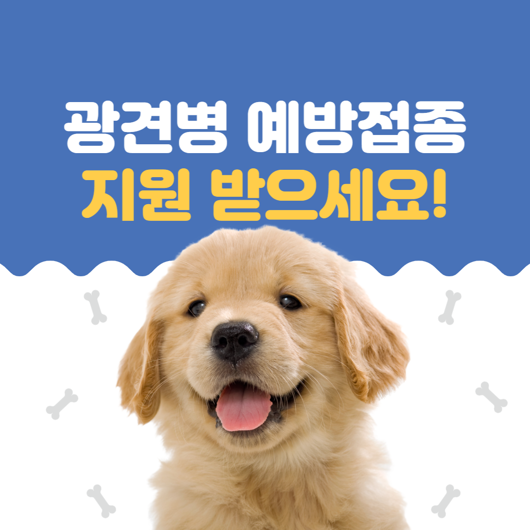 대구광견병예방접종지원