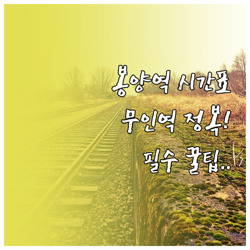 봉양역 열차 시간표 총정리 무궁화호 ..