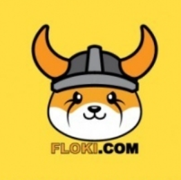 플로키(Floki) 코인 시세 전망: 2030년까지 들고간다면?