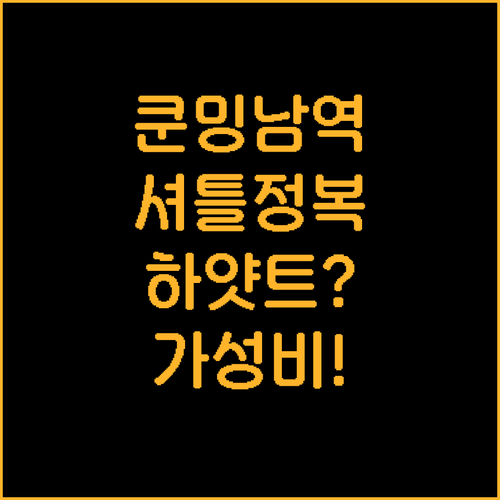 하얏트부터 가성비 숙소까지 쿤밍 남역..