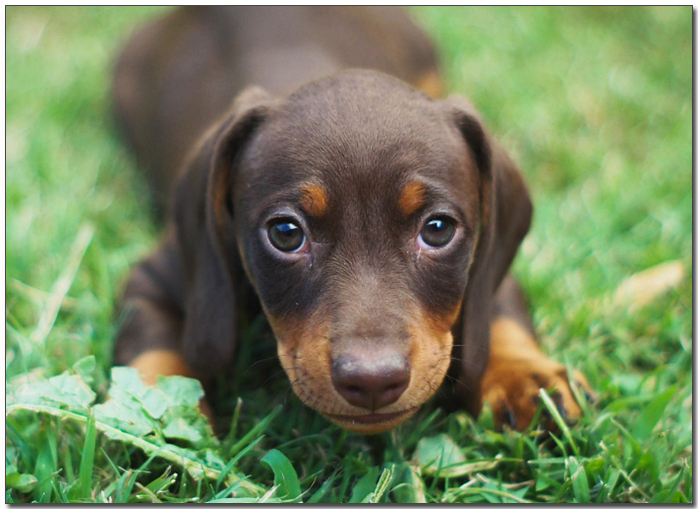 ์๋๋ฐญ์ ๋์์๋ ๋ฅ์คํํธ