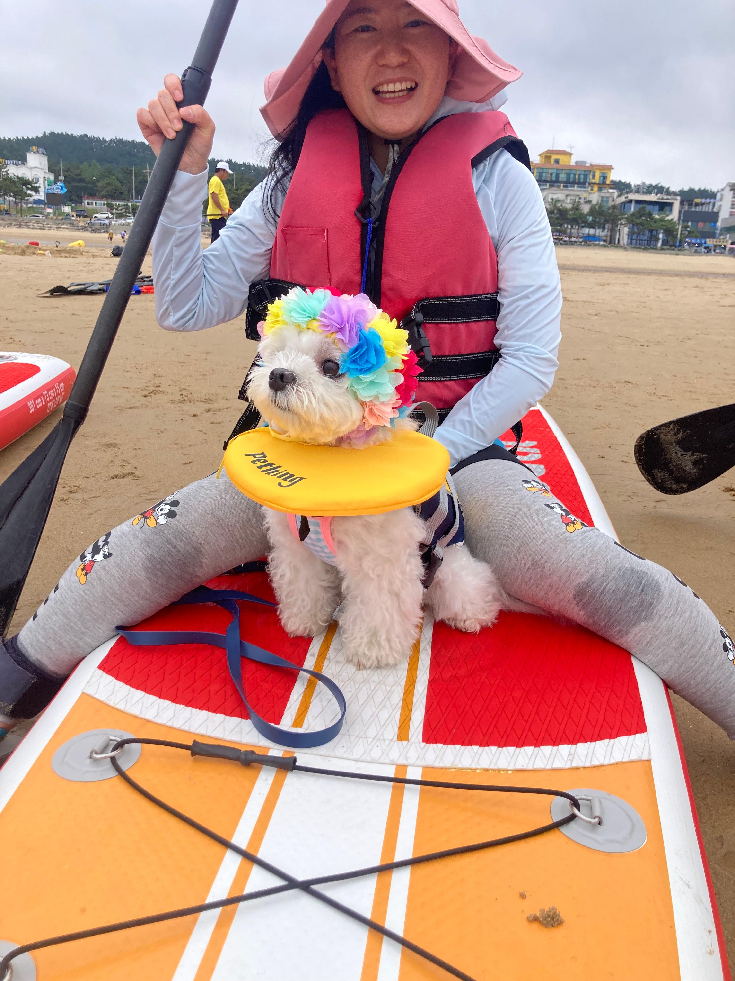 태안 패들보드 체험중