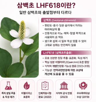 삼백초-LHF618-차이-효능-고르는방법-효과-비교