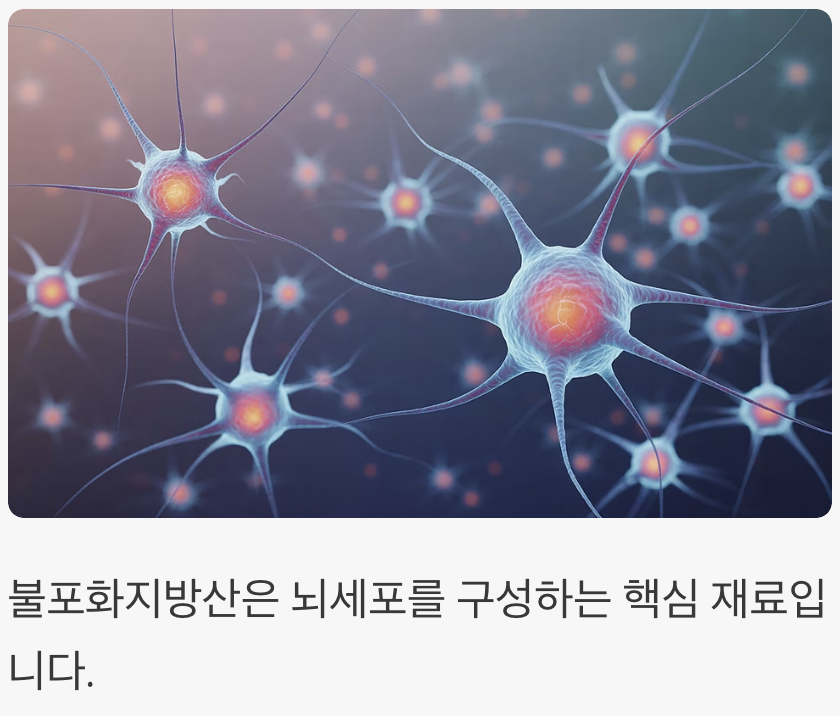 뇌를 깨우는 '착한 지방'의 힘