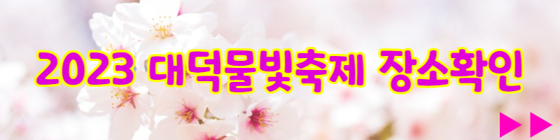 대덕물빛축제장소확인