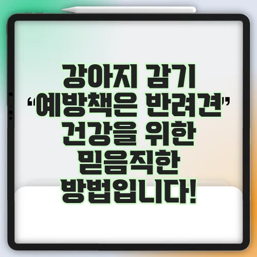 강아지 감기 예방책은 반려견 건강을 위한 믿음직한 방법입니다!