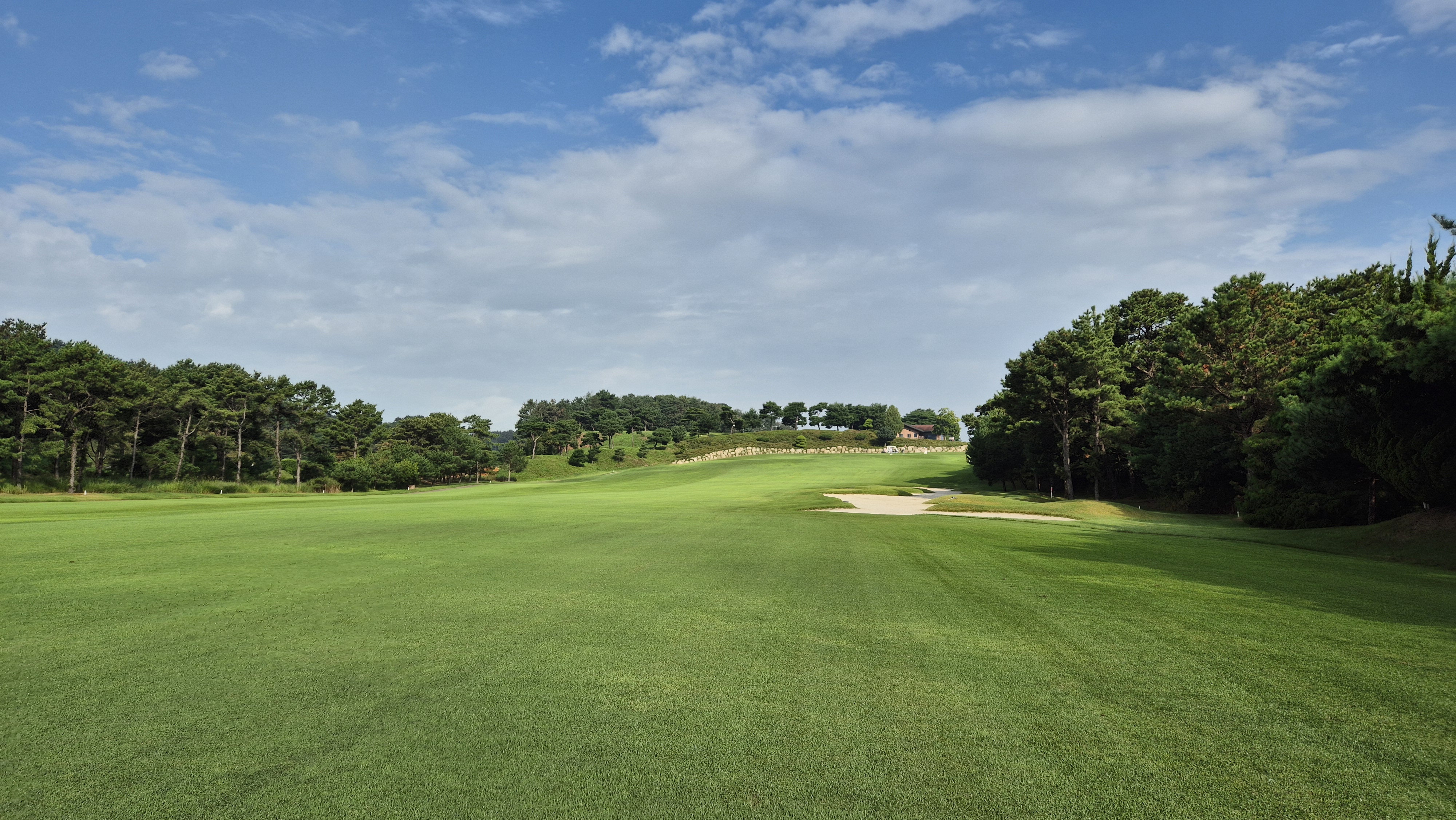 도고cc 코스 사진 및 공략 정보