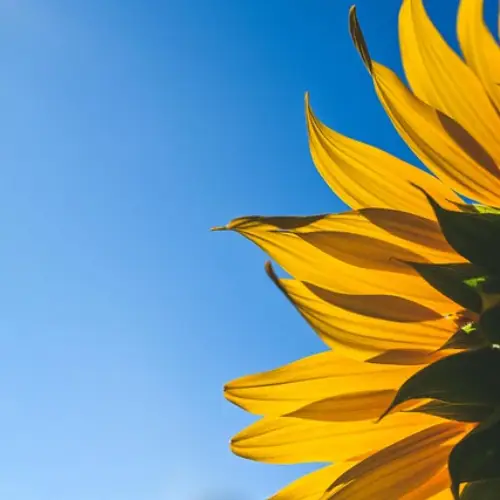 울릉도 울릉크루즈