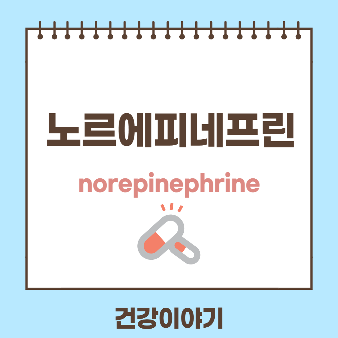 노르에피네프린