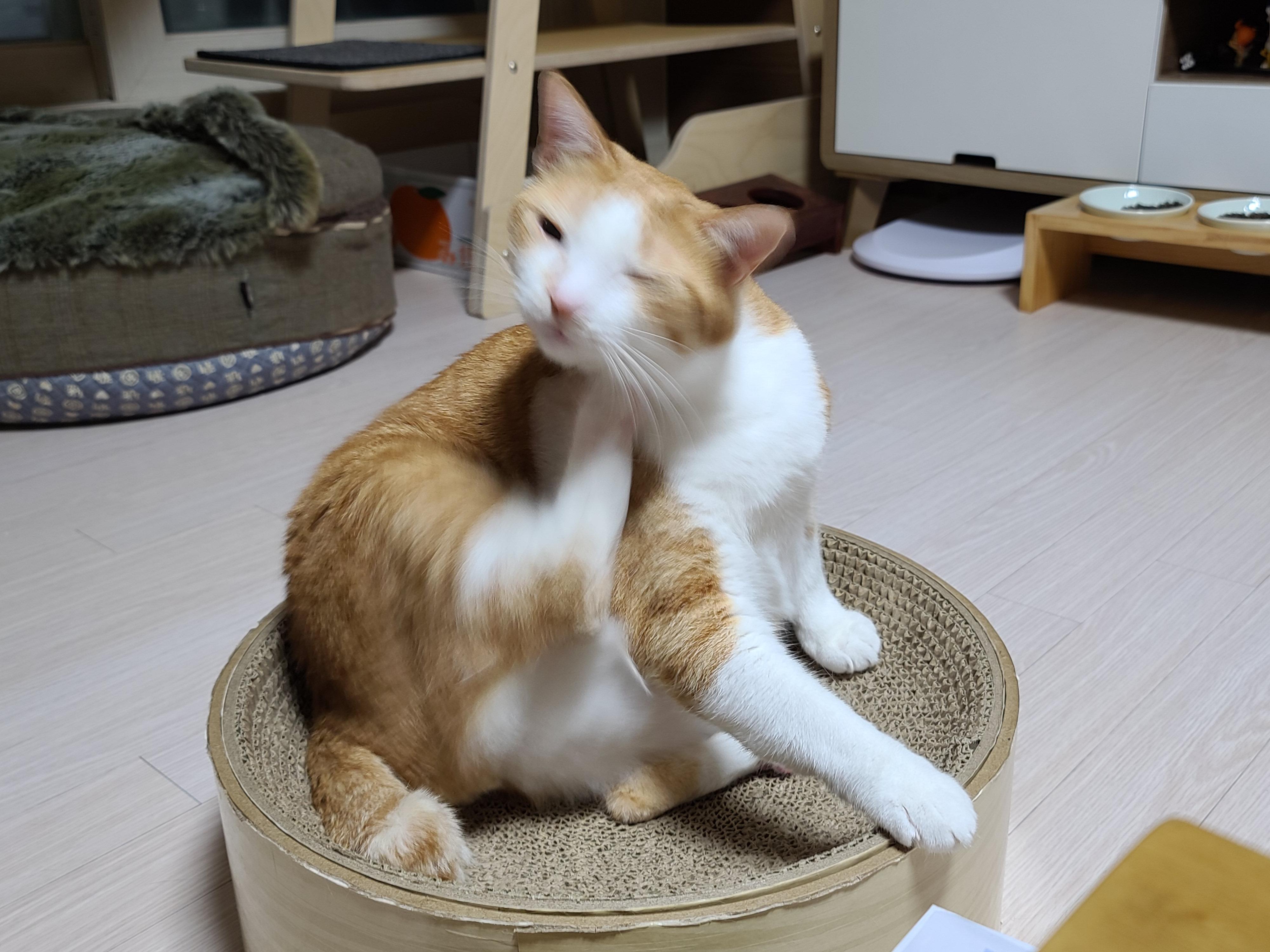 호야의 '동 to the 그 to the 라미' 스크래쳐 사용법.